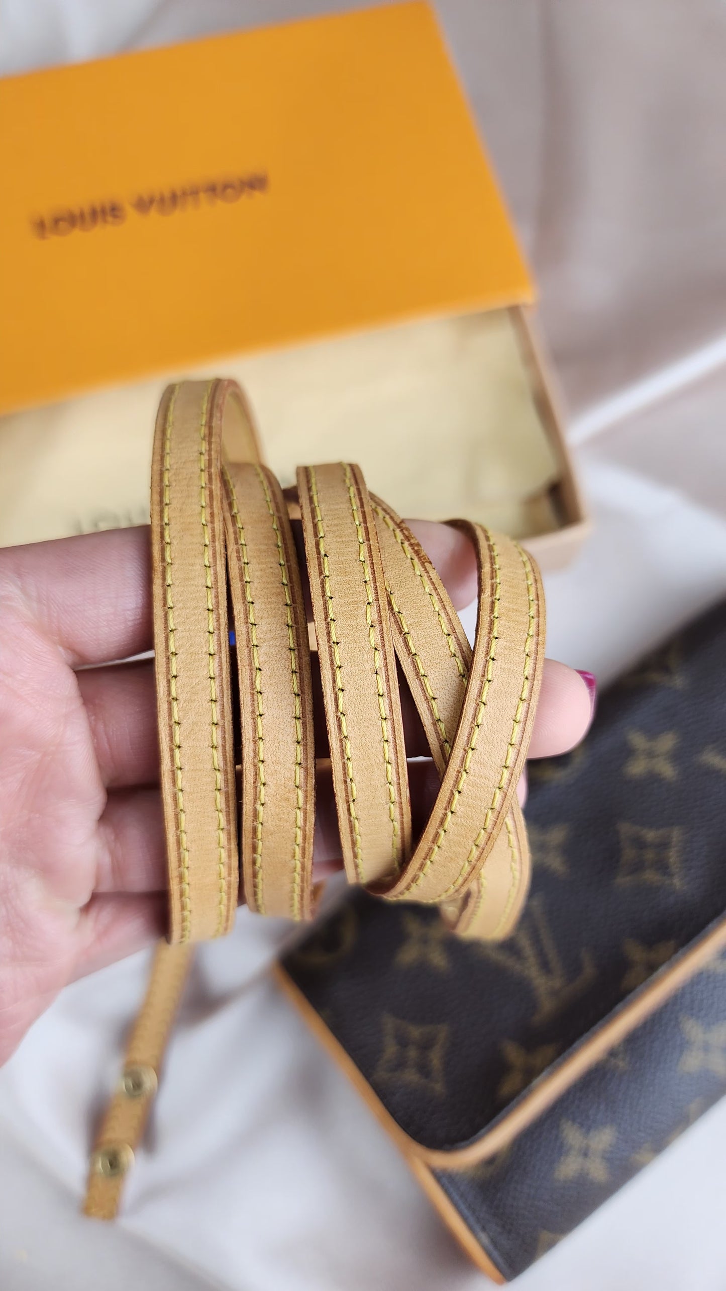 Louis Vuitton Twin Pochette PM