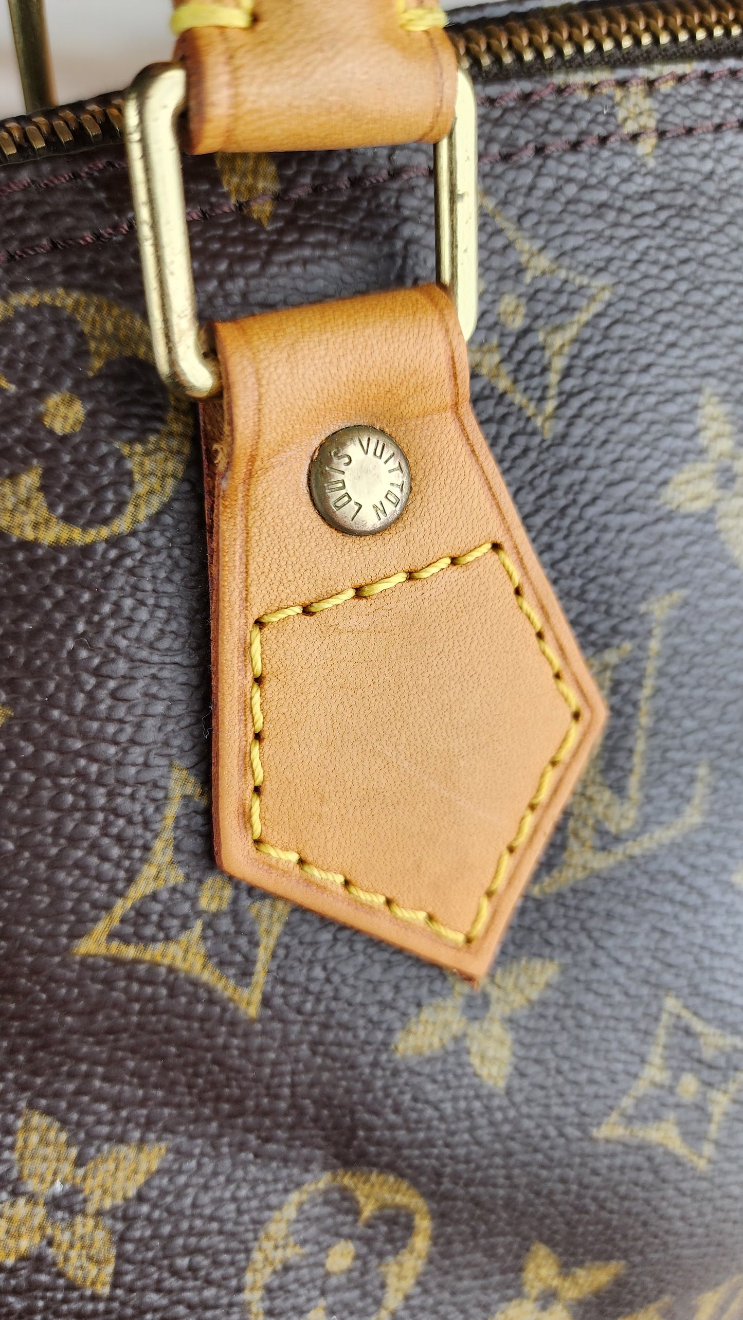 Louis Vuitton Speedy 30 Monogram Print