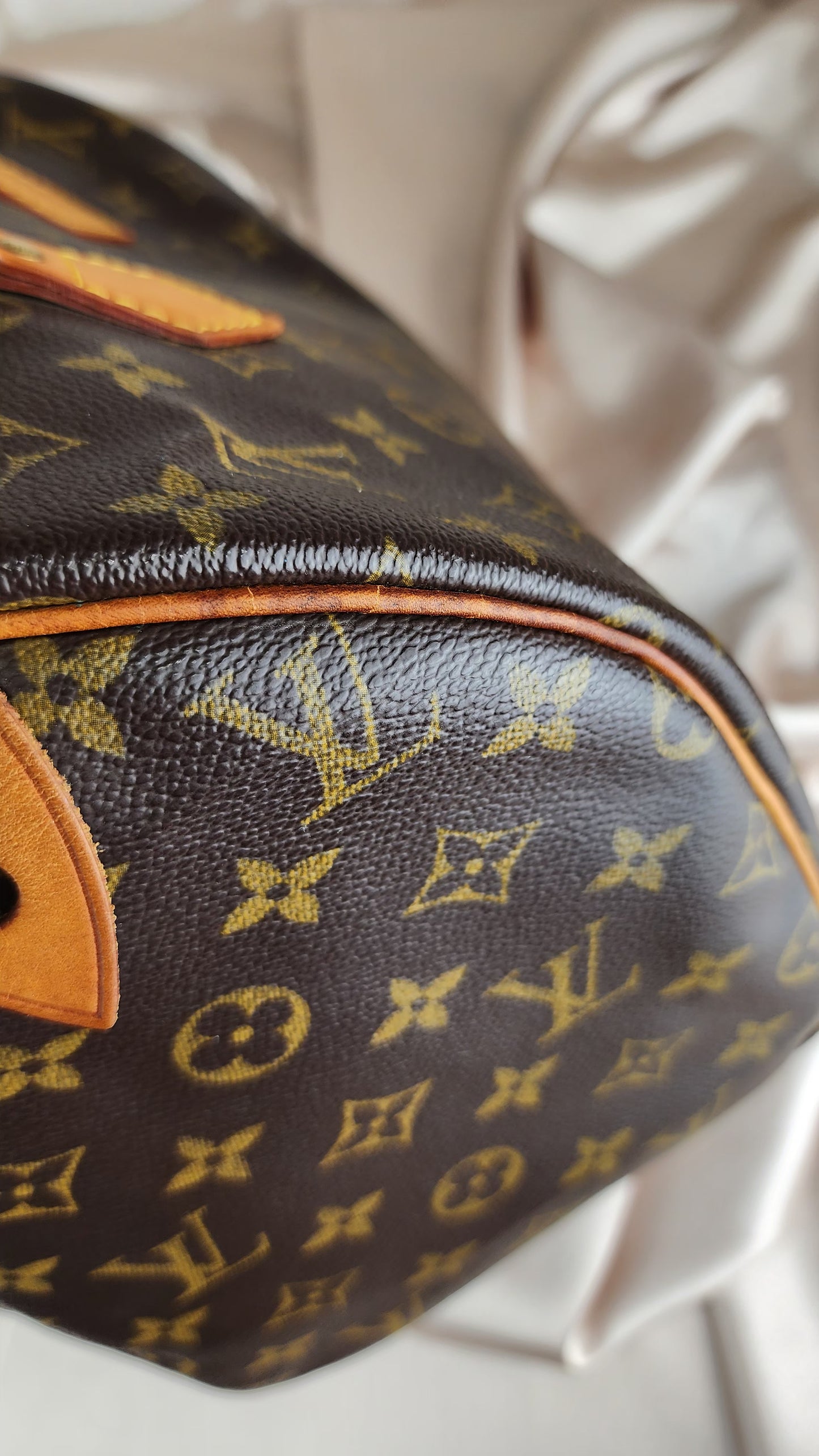 Louis Vuitton Speedy 30 Monogram Print