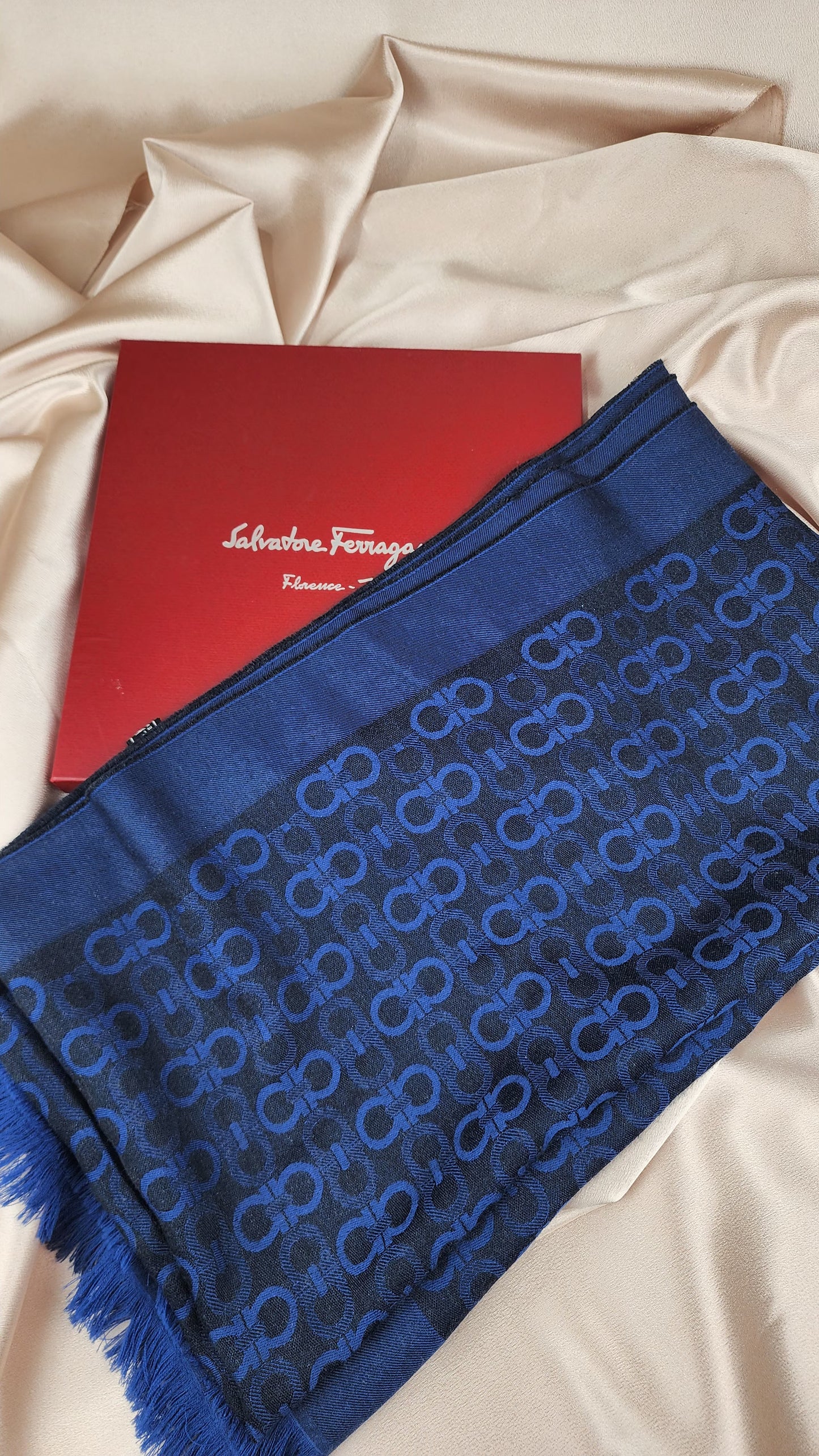 Salvatore Ferragamo Blue and Black Scarf -760