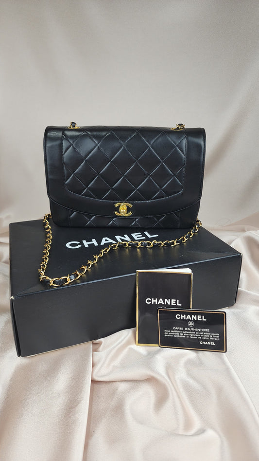 Chanel Medium Diana - 679