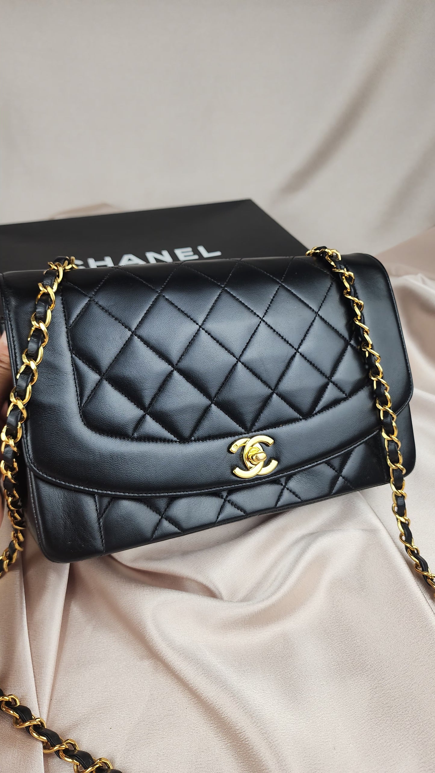 Chanel Medium Diana - 679