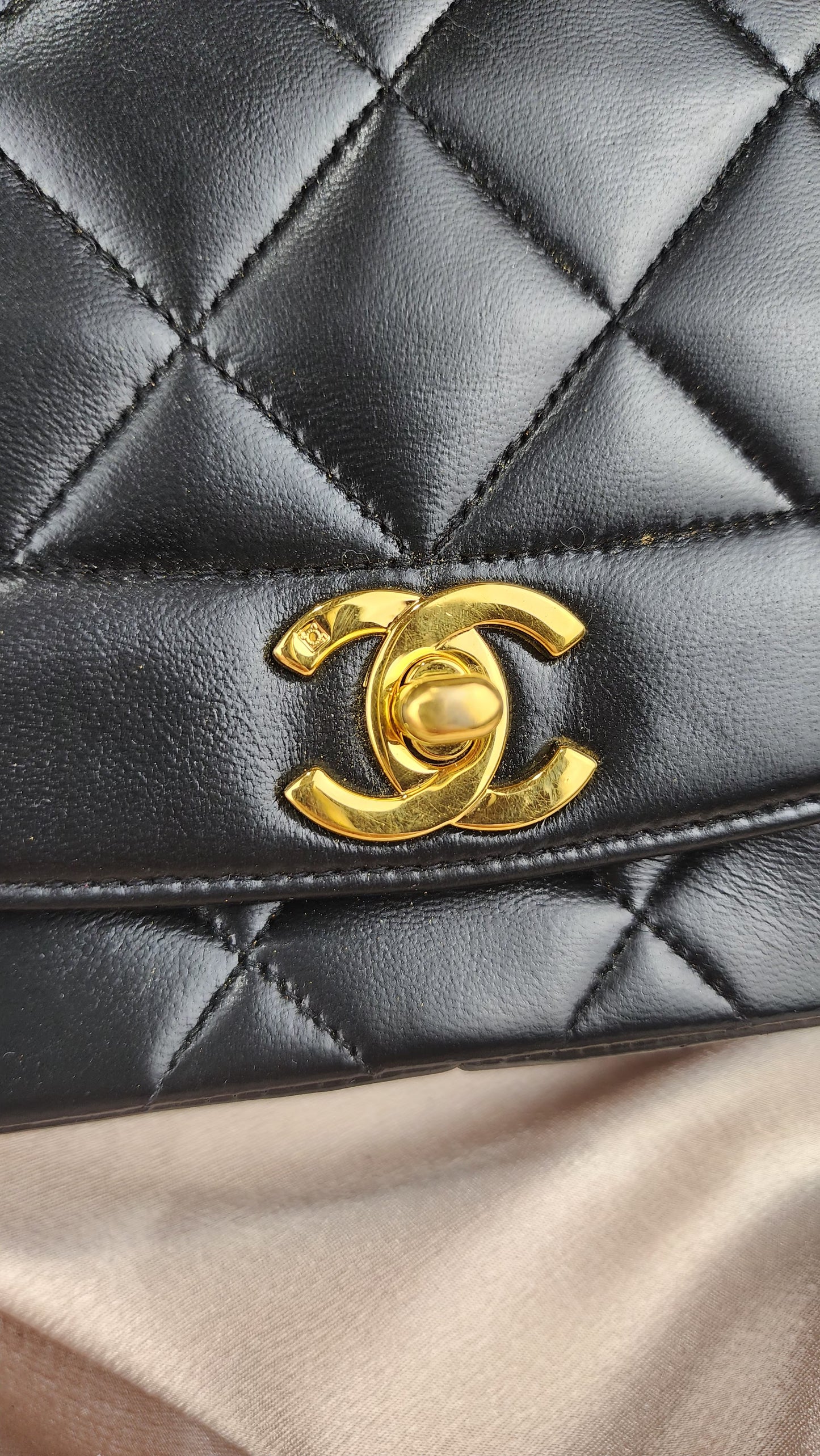 Chanel Medium Diana - 679