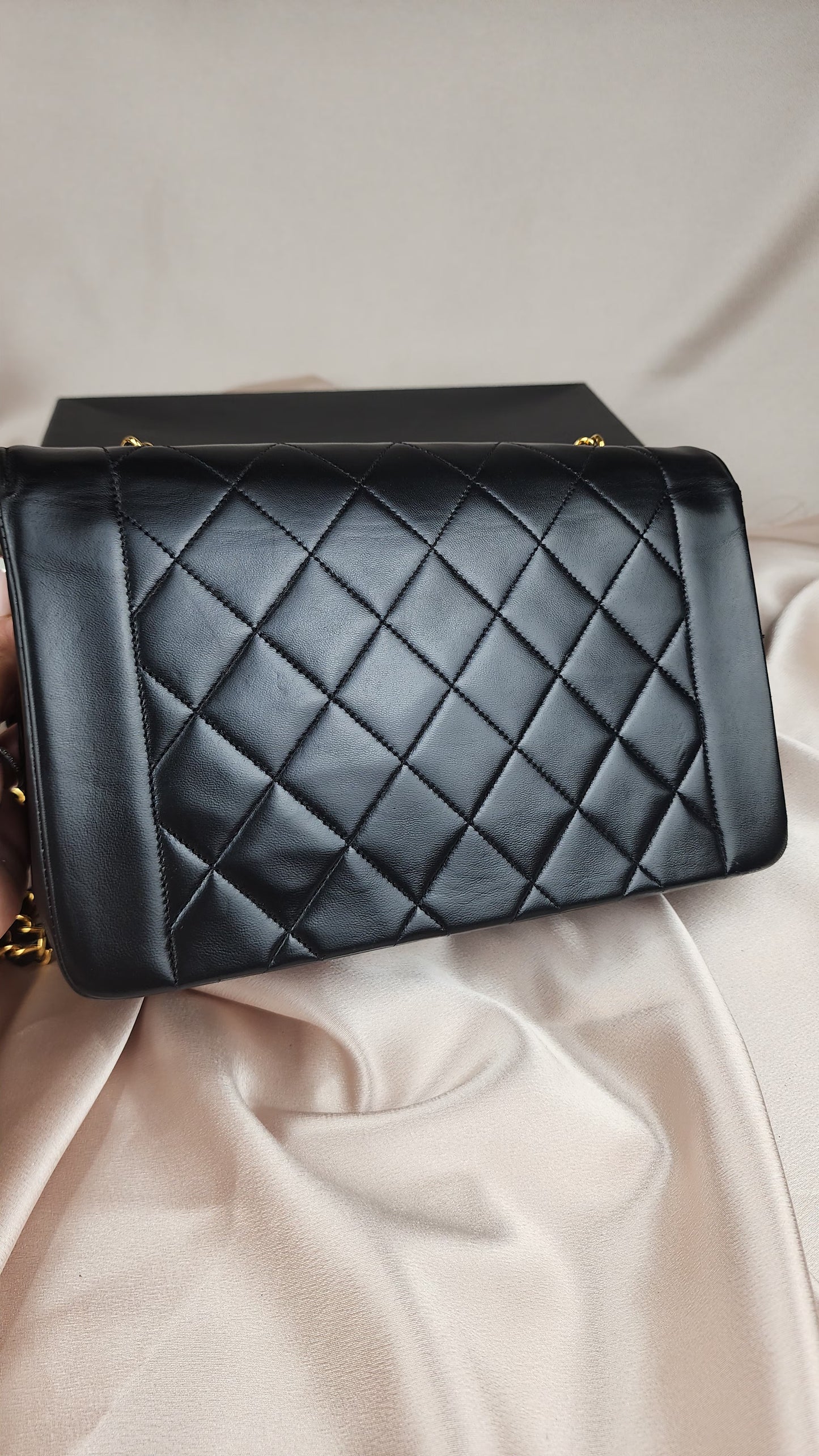 Chanel Medium Diana - 679