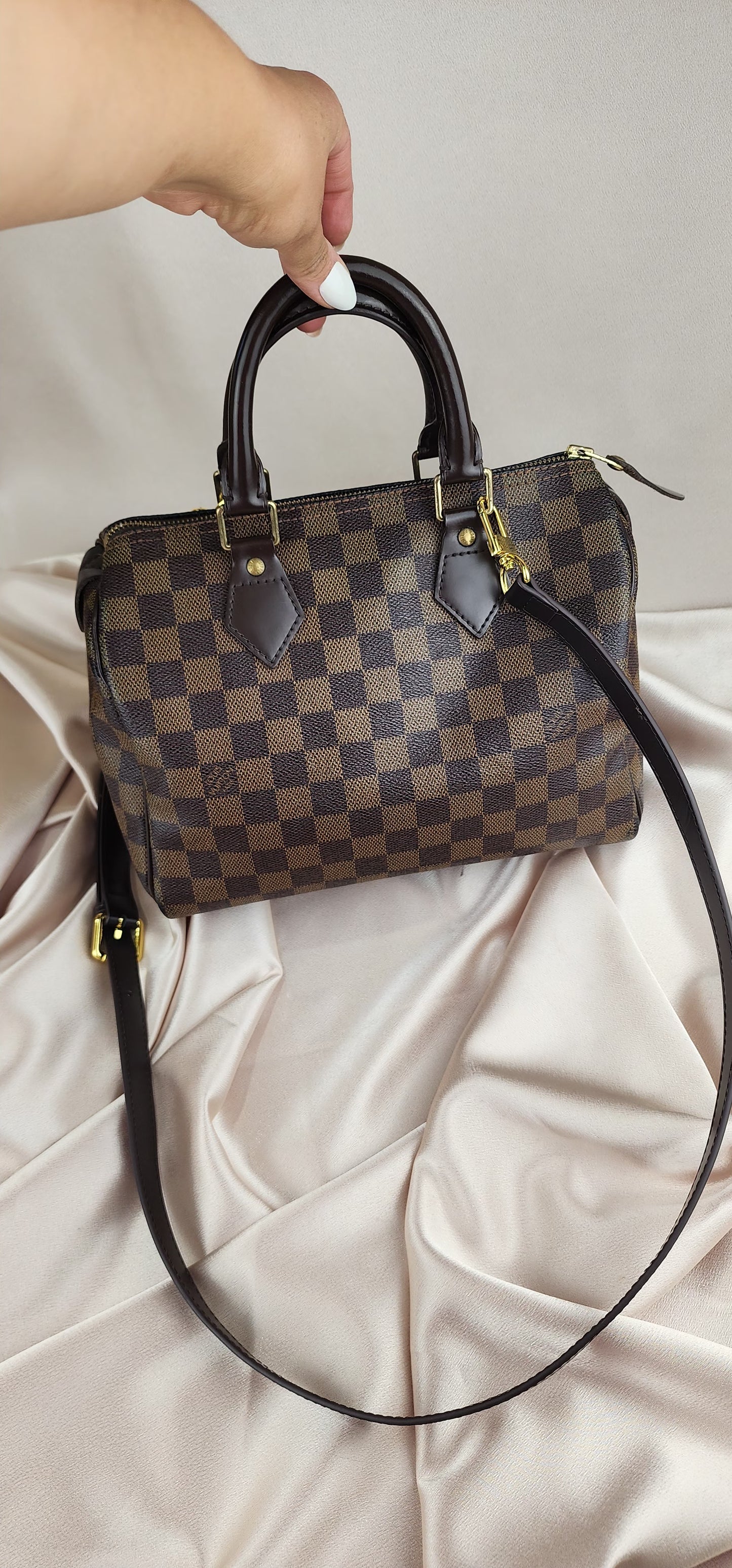 Louis Vuitton Damier Ebene Speedy 25 - 702