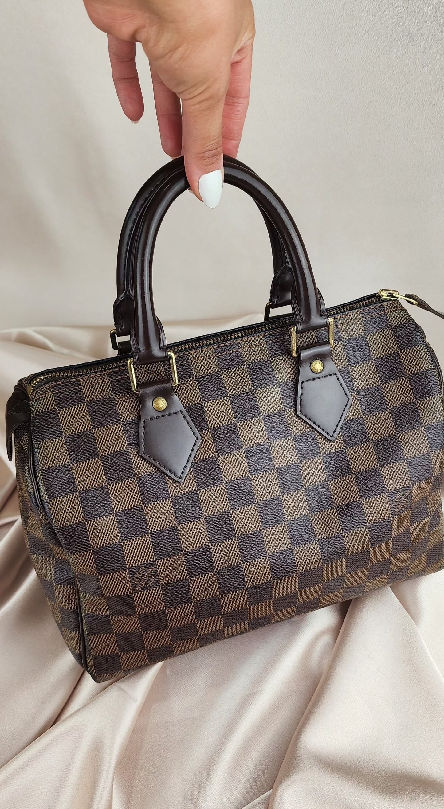 Louis Vuitton Damier Ebene Speedy 25 - 702