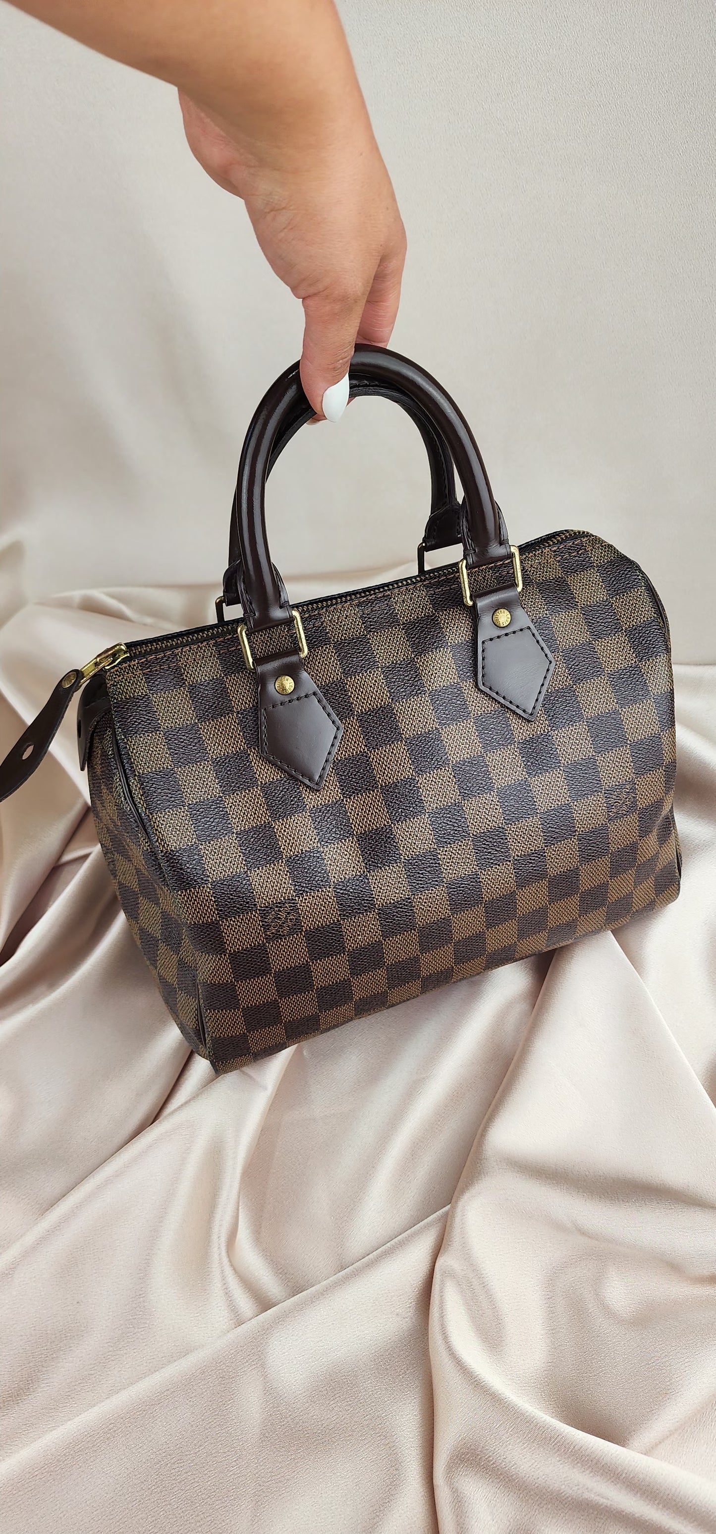 Louis Vuitton Damier Ebene Speedy 25 - 702