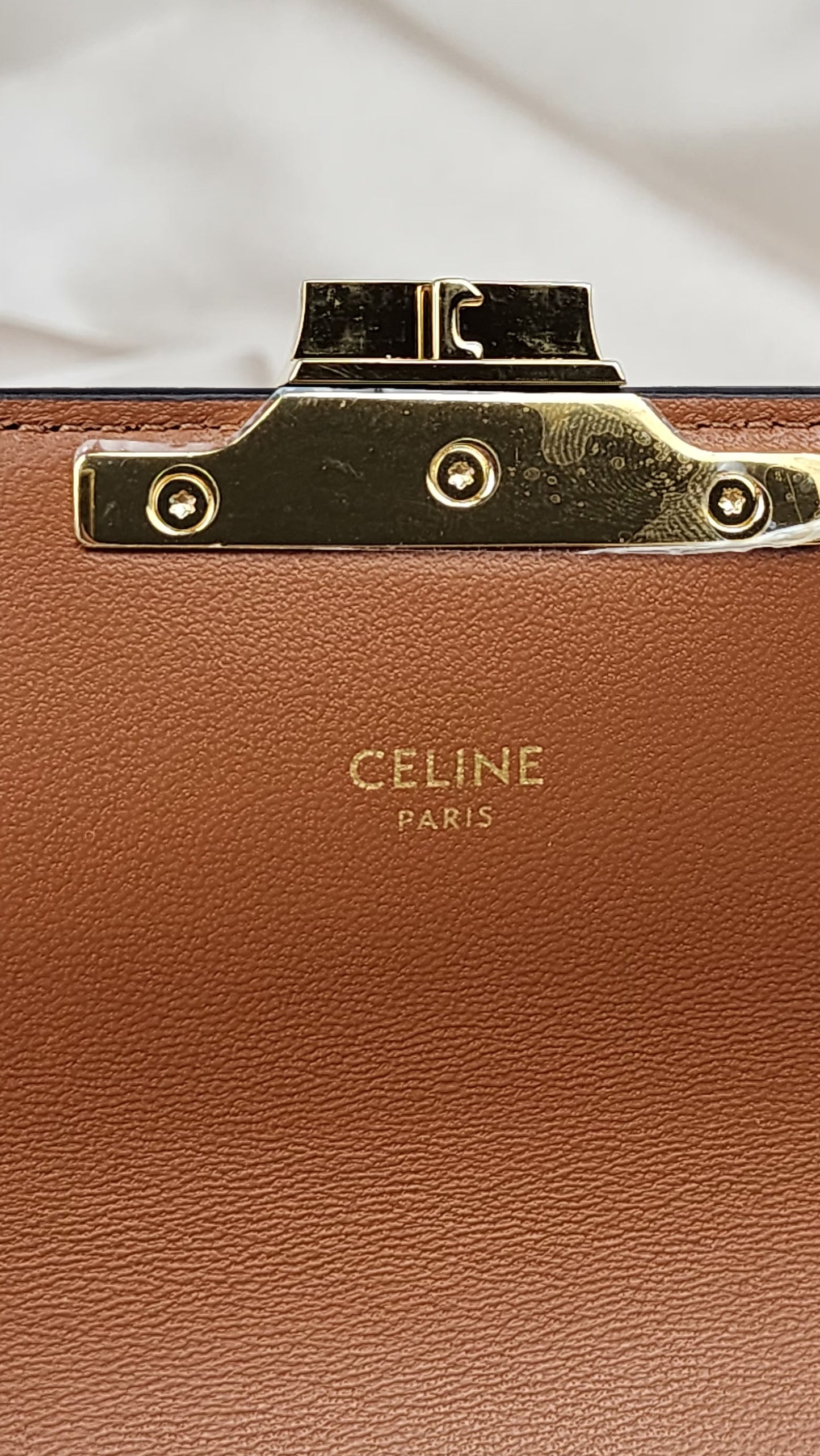 Celine Shoulder Bag Calude in Triomphe Canvas and Calfskin - 0509