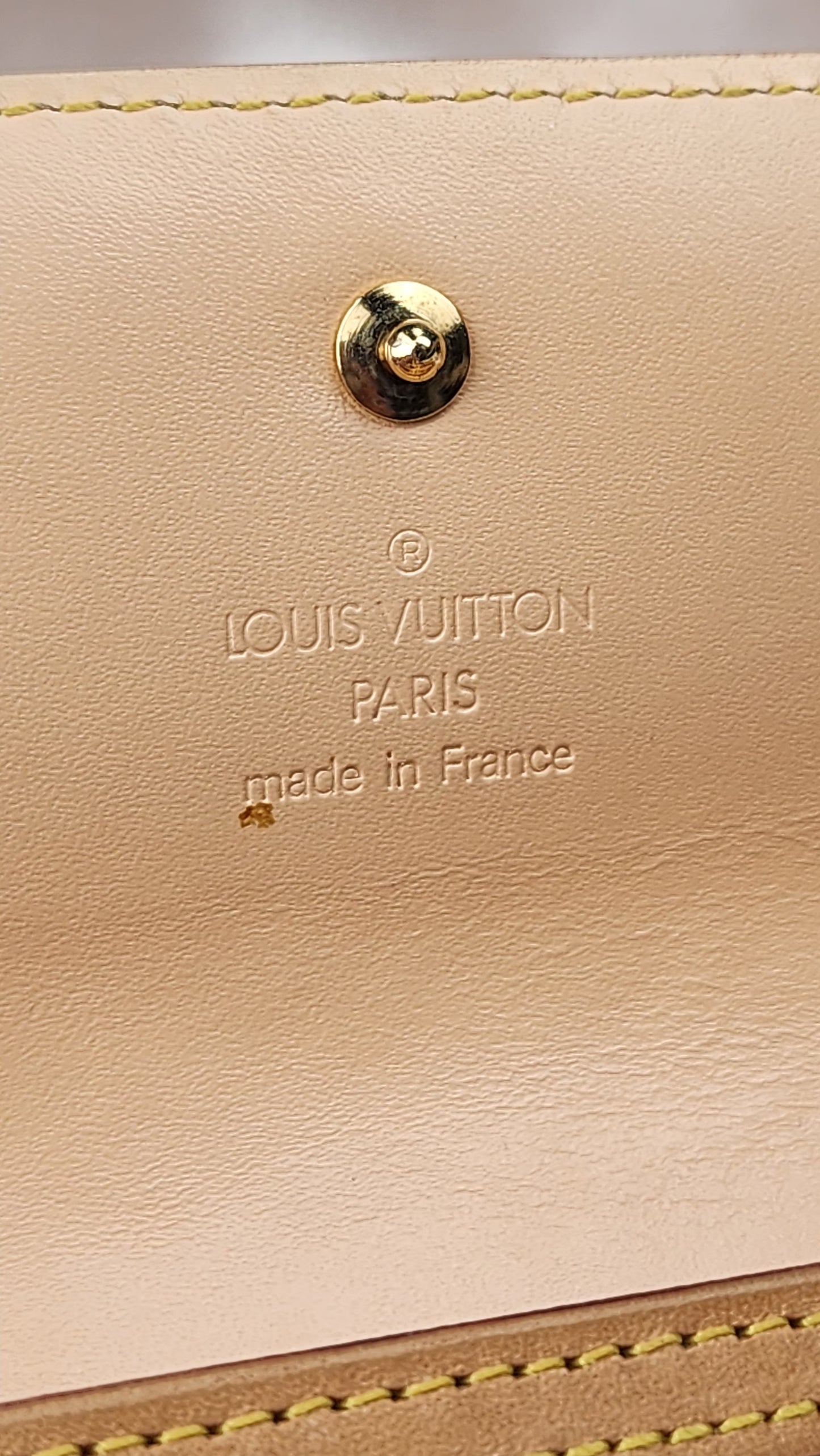 Louis Vuitton Multicolor Porte Tresor International Wallet - 1046