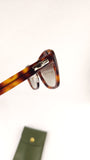 Longchamp Brown Tortoise Cat Eye Sunglasses - G0809